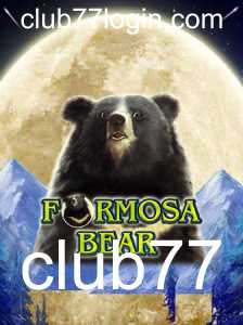 Descubra o Fascinante Mundo de FormosaBear