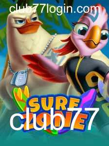 Descubra o Mundo de Aventura Aquática com SurfZone